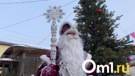 В Омске стартует продажа билетов на поезд Деда Мороза