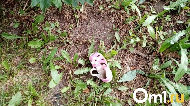 Пострадавшей от омского педагога-насильника девочке окажут психологическую помощь