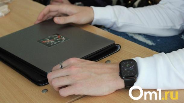 Цены на ноутбуки: омичам рассказали, какие модели подешевели