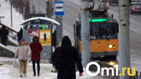 Мороз до -20 градусов обрушится на Новосибирск
