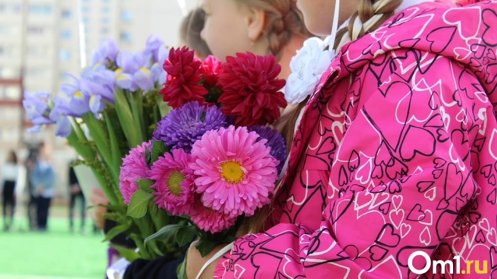 В этом году в омских школах появится 16 тысяч первоклассников