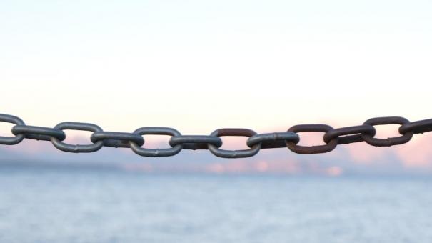 На цепи в погребе держал своего приятеля житель Новосибирской области