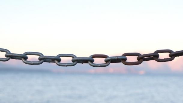 На цепи в погребе держал своего приятеля житель Новосибирской области
