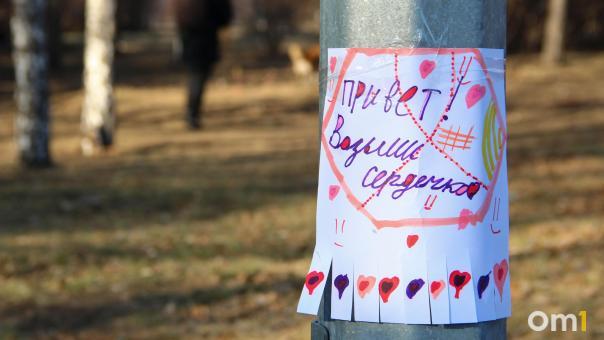 В Омске «обезвредили» расклейщика анонсов выставки кошек