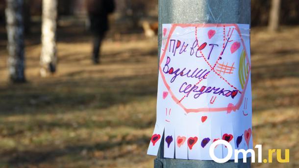 В Омске «обезвредили» расклейщика анонсов выставки кошек