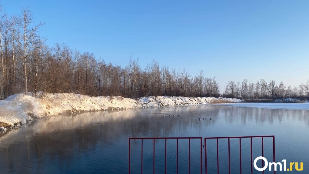 56 источников загрязнения обнаружили экологи в новосибирской реке Туле