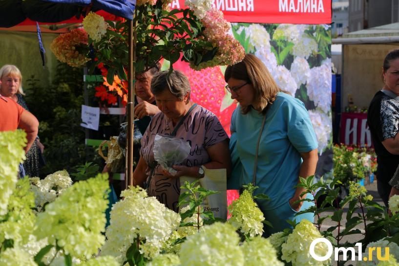 Изображение фоторепортажа