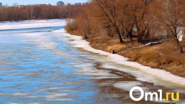 Сразу две омских реки серьёзно загрязнены марганцем