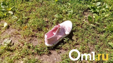 Одета в бесформенную футболку грязно-розового цвета. В Омске пропала 10-летняя школьница