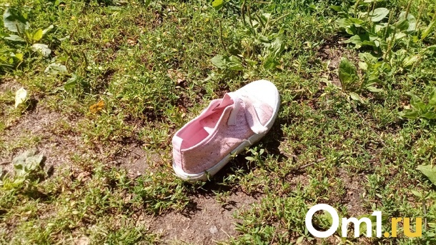 Одета в бесформенную футболку грязно-розового цвета. В Омске пропала 10-летняя школьница