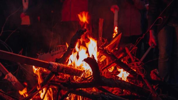 Власти Новосибирска ввели запрет на костры и выжигание травы в лесах