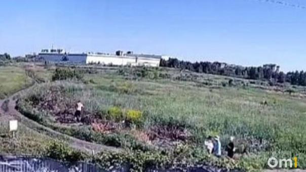 Омичи нашли тело мужчины в лесополосе, когда пошли за грибами