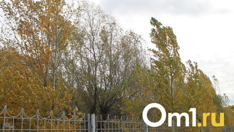 На Омск передали штормовое предупреждение