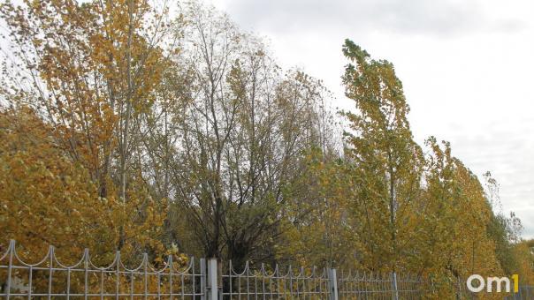 На Омск передали штормовое предупреждение
