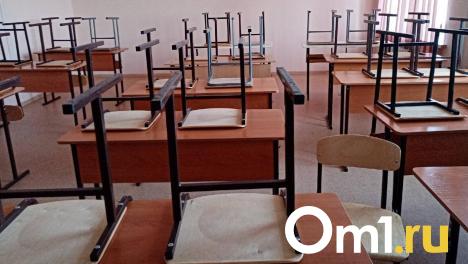 В омской школе рассказали об ученице, которая погибла от гриппа