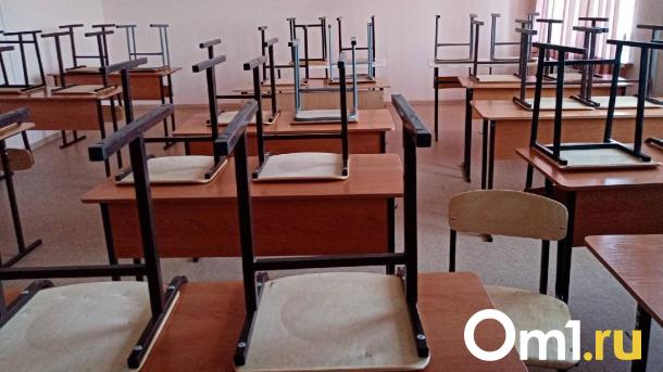 В омской школе рассказали об ученице, которая погибла от гриппа