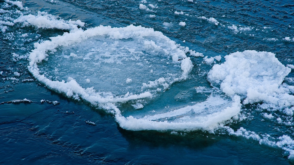 Водохранилище новосибирск фото