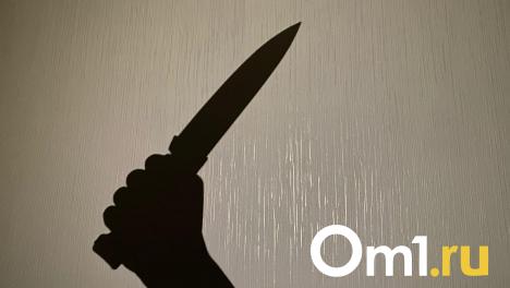 Семейная сцена закончилась для омича гибелью от рук уголовника