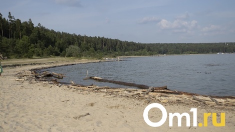 Где рыбачить в Новосибирской области: топ-8 мест. Онлайн-карта