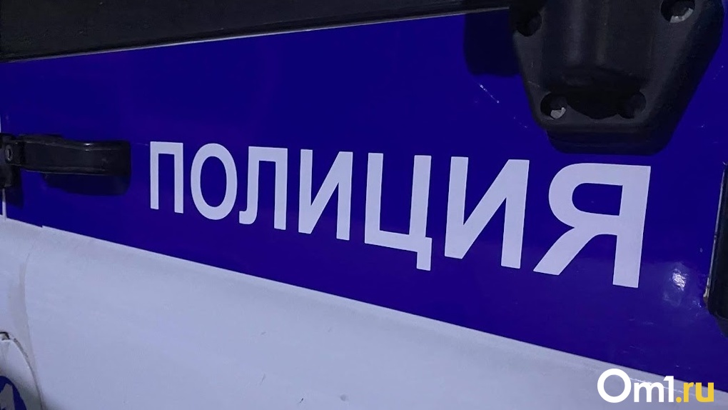 В Омске полиция раскрыла кражу батута