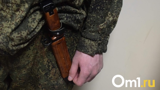 Омским охотникам разрешили добыть почти 1 700 соболей