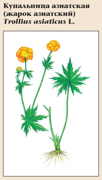 Изображение фоторепортажа