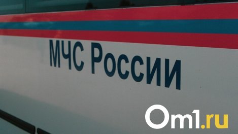 На складе одного из предприятий в Новосибирске произошла утечка аммиака