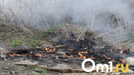 Пожароопасный сезон начался в Новосибирской области с 15 апреля