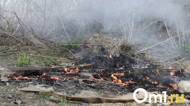 Пожароопасный сезон начался в Новосибирской области с 15 апреля