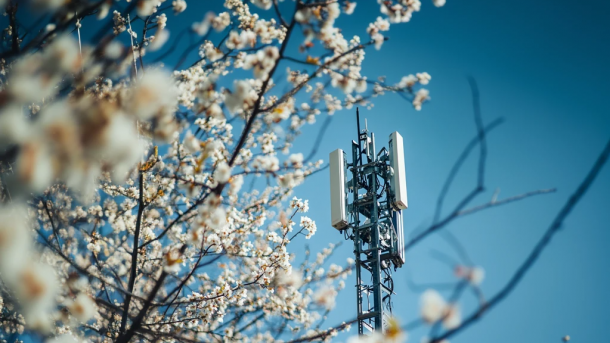 Весенний апгрейд: оператор T2 улучшил интернет в Дзержинском районе Новосибирска