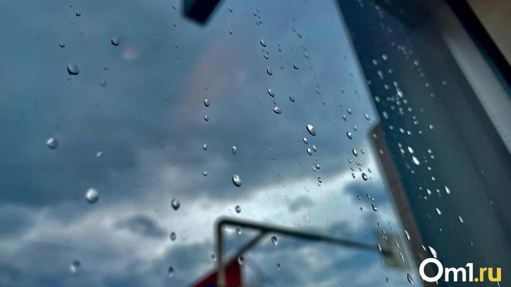 Расчехляем зонтики: рабочая неделя в Омске будет дождливой