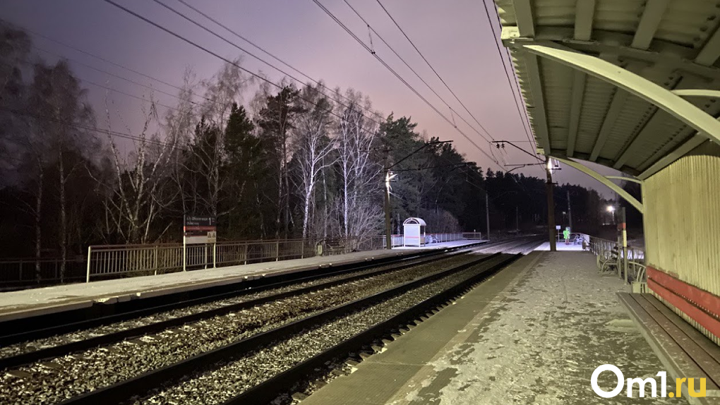 18-летнего парня из Бердска насмерть сбил грузовой поезд из-за громкой музыки