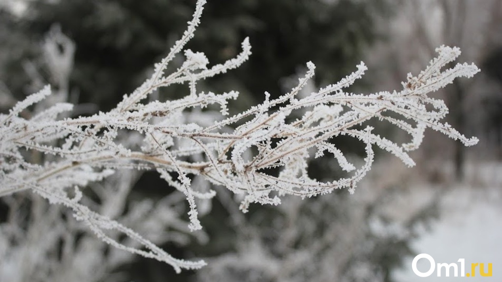 Продолжение аномальных морозов прогнозируют в Новосибирской области