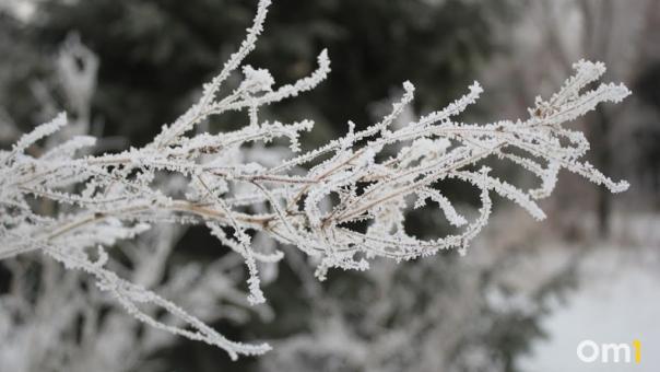 Продолжение аномальных морозов прогнозируют в Новосибирской области