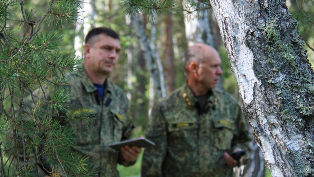 Сотни Камазов. С начала года в Омске незаконно вырубили 1,7 тысячи кубометров леса