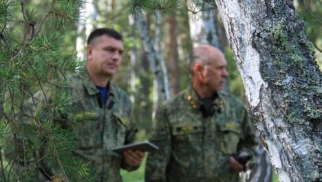 Сотни Камазов. С начала года в Омске незаконно вырубили 1,7 тысячи кубометров леса
