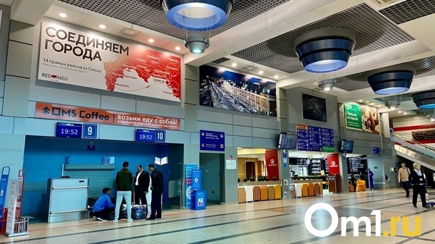 Москвичка в самолёте, летевшем рейсом Москва – Омск, занималась непристойными вещами