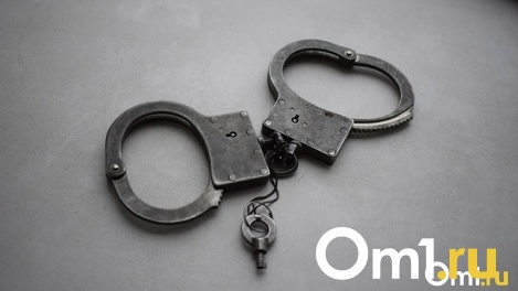 В Новосибирске нашли двух мужчин, жестоко избивших 12-летнего мальчика