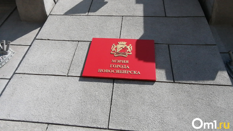 «Дестабилизация». В Новосибирске раскритиковали инициаторов референдума по вопросу отмены прямых выборов