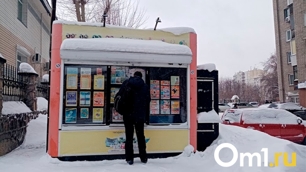 Киоски на улицах Новосибирска могут демонтировать из-за внешнего вида