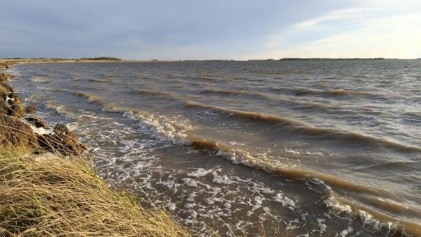 Всемирный день водных ресурсов: история, традиции и значение праздника