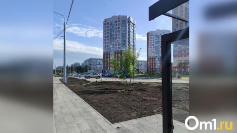 Не хотим ходить по газонам: омичи предлагают построить дополнительные тротуары у бульвара Архитекторов