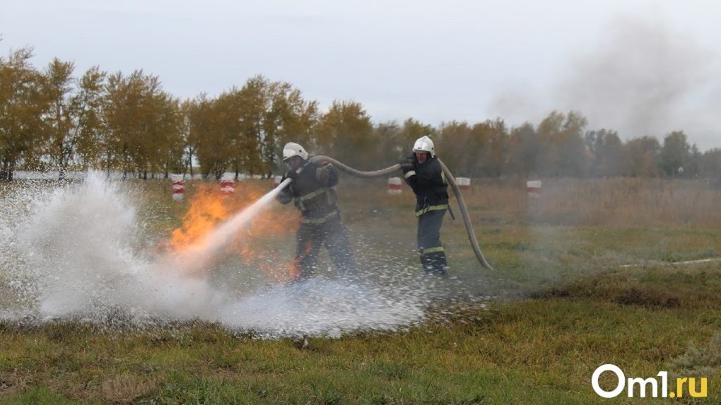 Огненная завеса: в Омской области участились лесные пожары