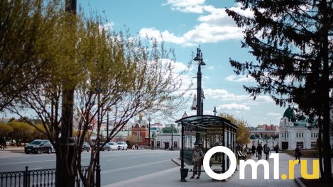 В Омске разметку на дорогах начнут наносить пластиком