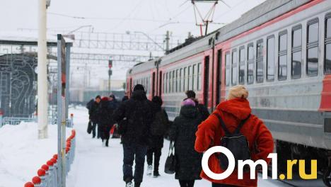 Двух работников наказали за задержку более десяти поездов в Омской области
