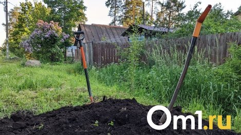 В Омской области пытались построить газозаправочную станцию на участке для ведения сельского хозяйства