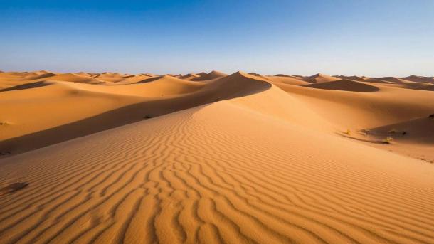 Суд запретил мэрии освобождать участок с пескобазой в Новосибирске