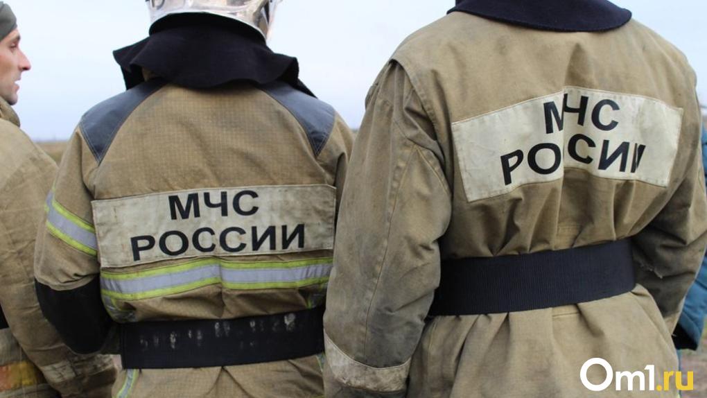 Пожарные в Омской области обнаружили тело мужчины в сгоревшем доме