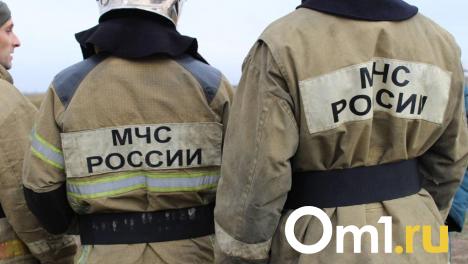 Пожарные в Омской области обнаружили тело мужчины в сгоревшем доме