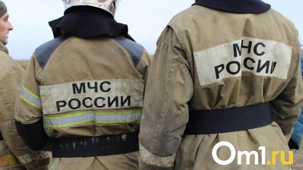 Пожарные в Омской области обнаружили тело мужчины в сгоревшем доме